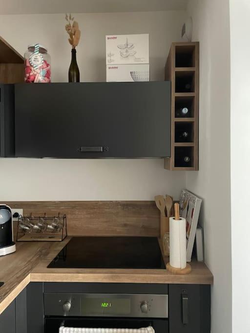 Appartement T2 Avec Jardin Люссиана Экстерьер фото